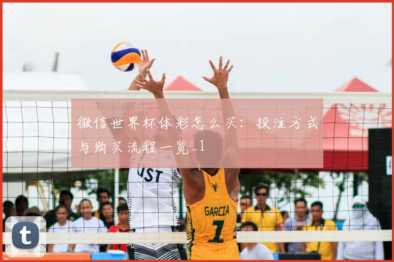 微信世界杯体彩怎么买:投注方式与购买流程一览_1