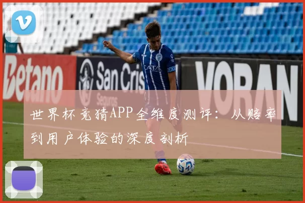 世界杯竞猜APP全维度测评：从赔率到用户体验的深度剖析