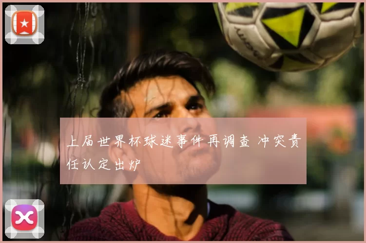 上届世界杯球迷事件再调查 冲突责任认定出炉