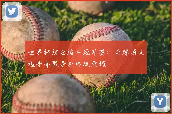 世界杯综合格斗冠军赛:全球顶尖选手齐聚争夺终极荣耀