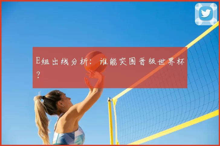 E组出线分析：谁能突围晋级世界杯？