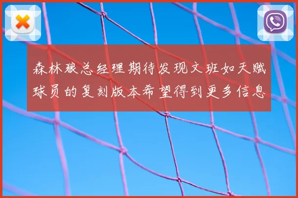 森林狼总经理期待发现文班如天赋球员的复刻版本希望得到更多信息