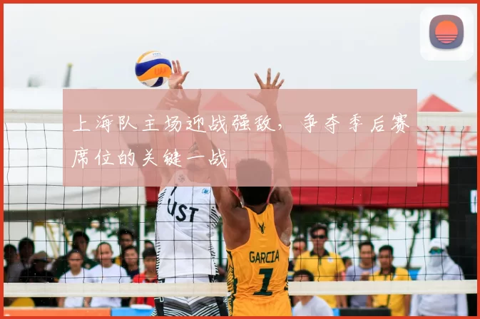 上海队主场迎战强敌,争夺季后赛席位的关键一战