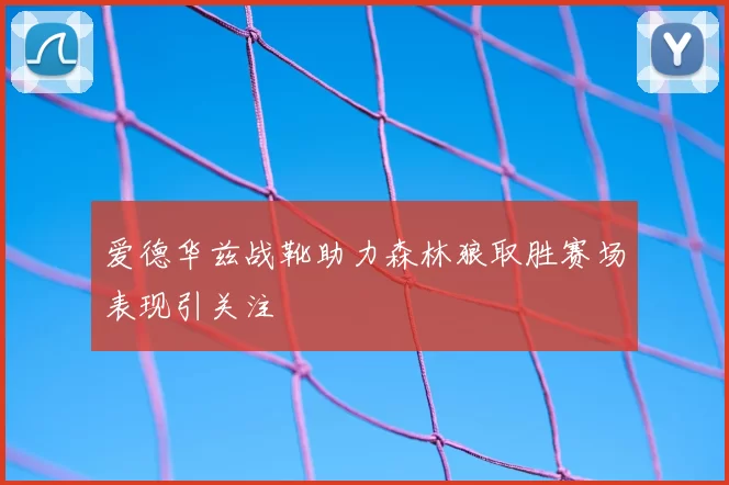 爱德华兹战靴助力森林狼取胜赛场表现引关注