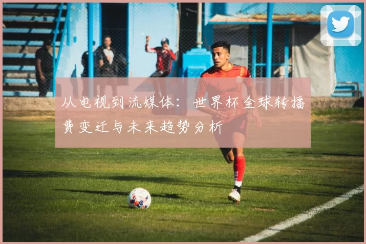 从电视到流媒体：世界杯全球转播费变迁与未来趋势分析