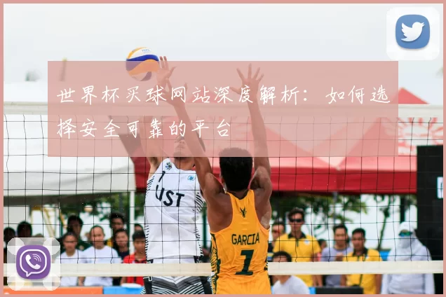 世界杯买球网站深度解析:如何选择安全可靠的平台