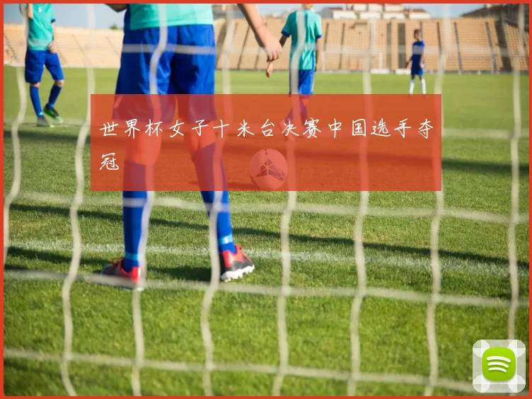 世界杯女子十米台决赛中国选手夺冠