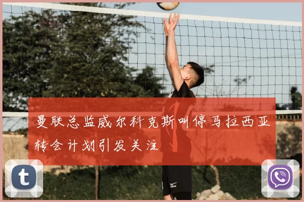 曼联总监威尔科克斯叫停马拉西亚转会计划引发关注