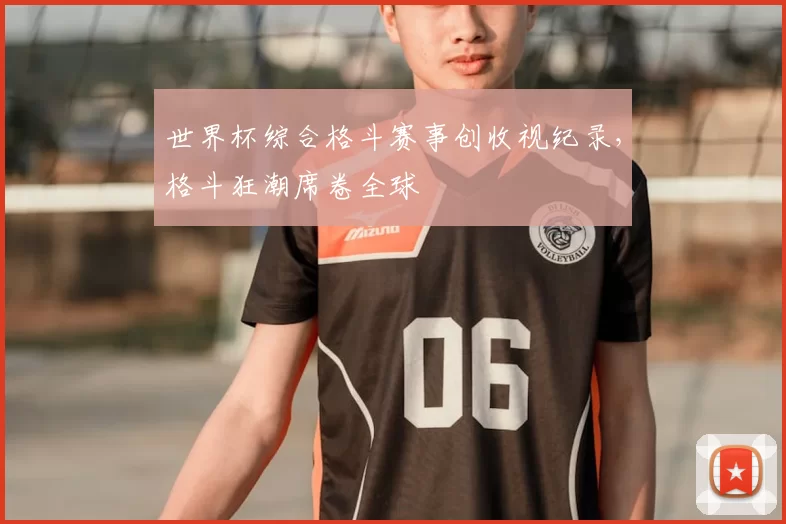 世界杯综合格斗赛事创收视纪录，格斗狂潮席卷全球