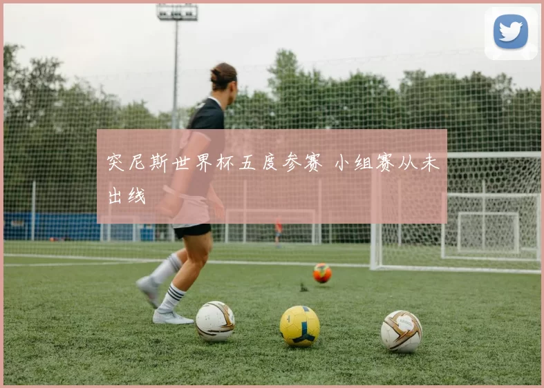 突尼斯世界杯五度参赛 小组赛从未出线